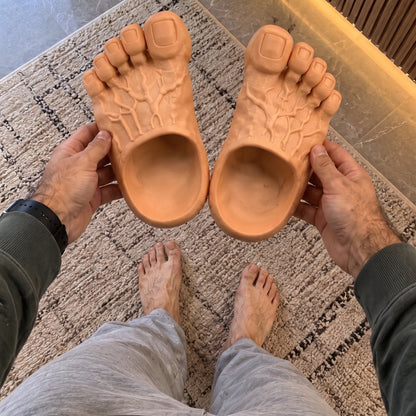 SoleMates Original Slides